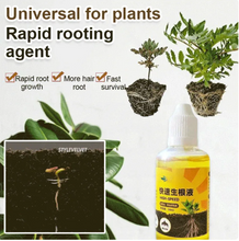 Cargar imagen en el visor de la galería, EcoGreen Fertilizer